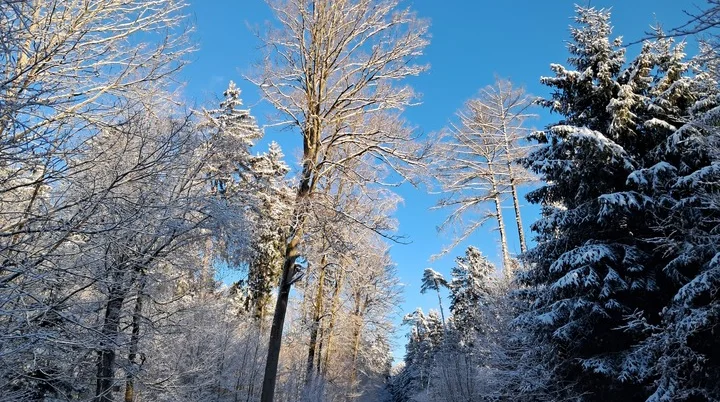 Stoeckel H | © DAV Kelheim