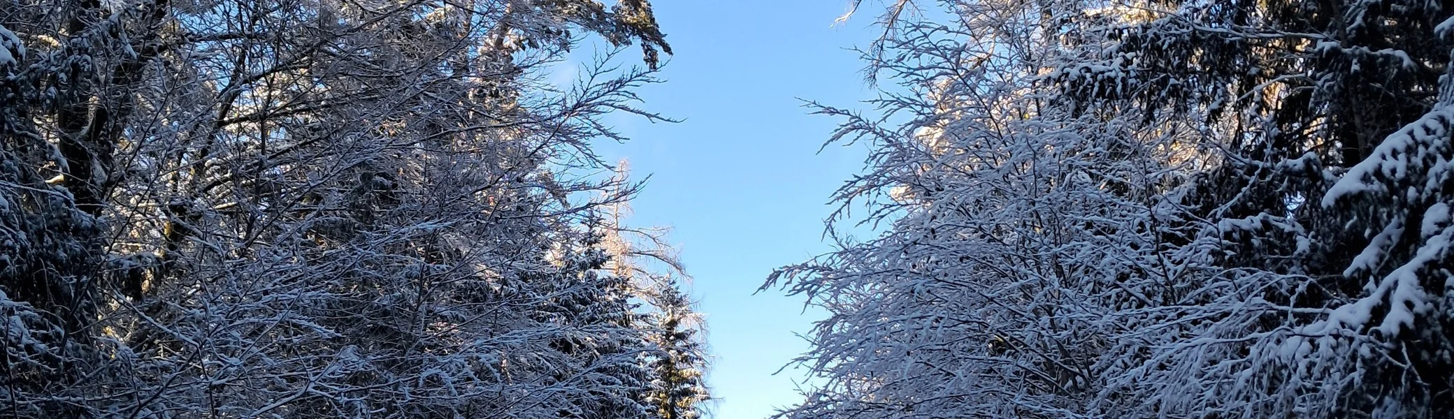 Stoeckel H | © DAV Kelheim