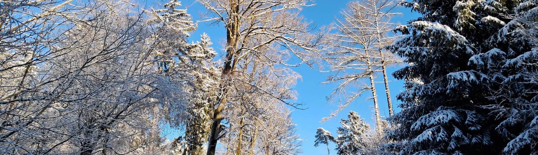 Stoeckel H | © DAV Kelheim